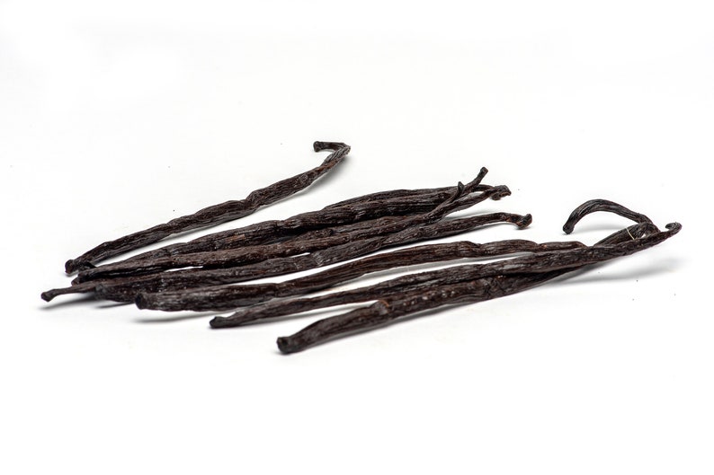 Madagascar Vanilla Beans Gourmet Grade A Vanilla Pods from Madagascar 10 ea Vanilla Bean