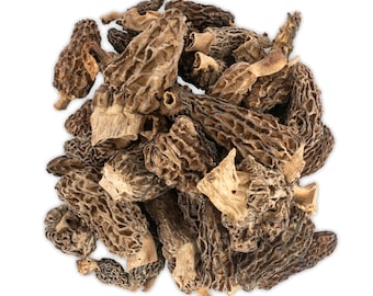 Dried Morel Mushrooms | Gourmet Morchella Conica | Morel Mushrooms for Cooking, Soups, Broths
