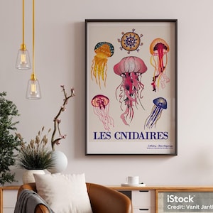Poster A2, CNIDAIRES. Serie "faune des profondeurs"