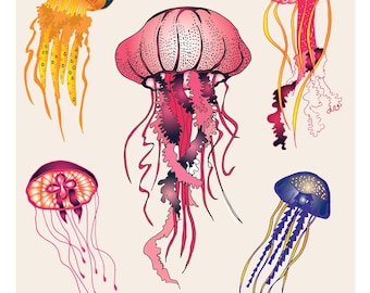 Mapa A5, CNIDARIANS. Serie "fauna de las profundidades"
