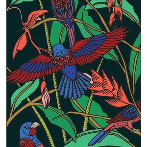 Carte A5, PERROQUETS, Série "Colombie"