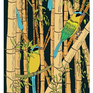 Poster A3, BAMBOUS, Série "Colombie".