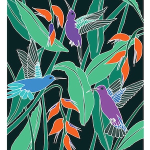 Karte A5, COLIBRIS, Serie "Kolumbien"