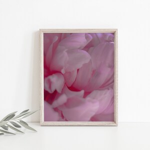 Pink Peonies | Set of 4 | Wall Art | Large Prints | Abstract | Poster Size | Flower Photography | Modern | Instant Digital Download
