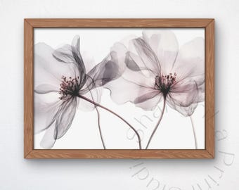 Black & White Flower Wall Art, Minimalist Botanical Print, Transparent Floral Digital Download, Modern Line Art Bloom, Neutral Nature Decor