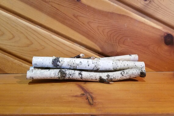 White Birch Logs 12 Inch Logs Fireplace Decor Home Decor Etsy