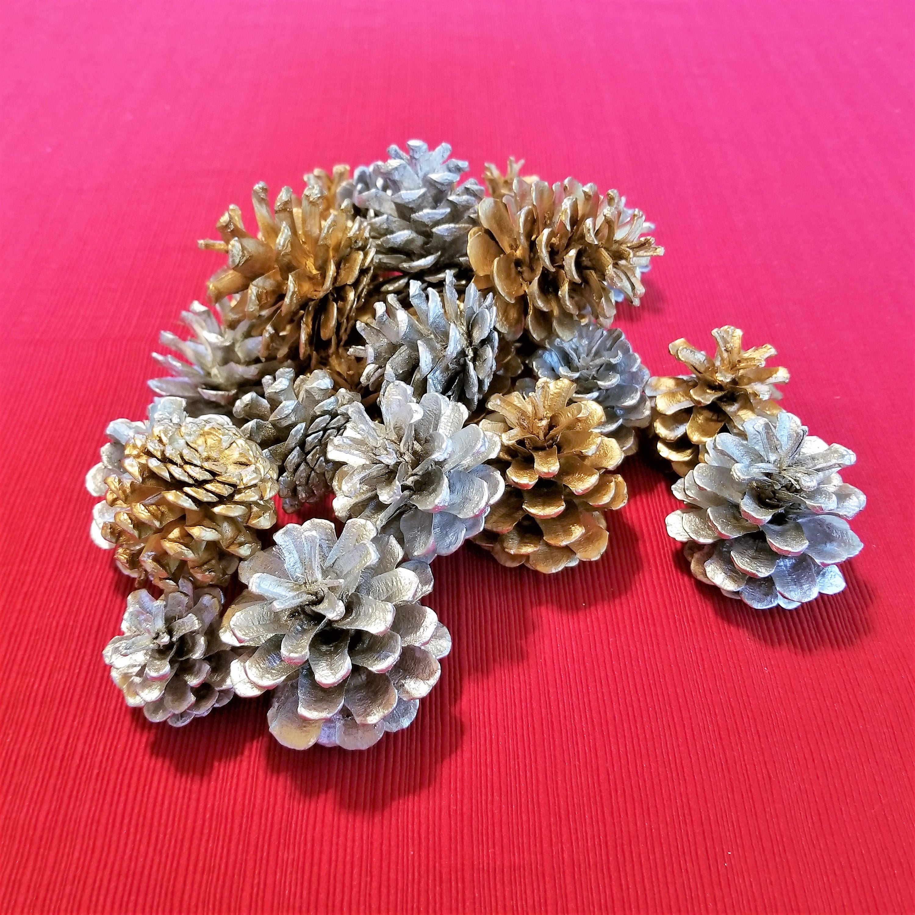 24 Silver and Gold Pine Cones Christmas Pine Cones Holiday Etsy