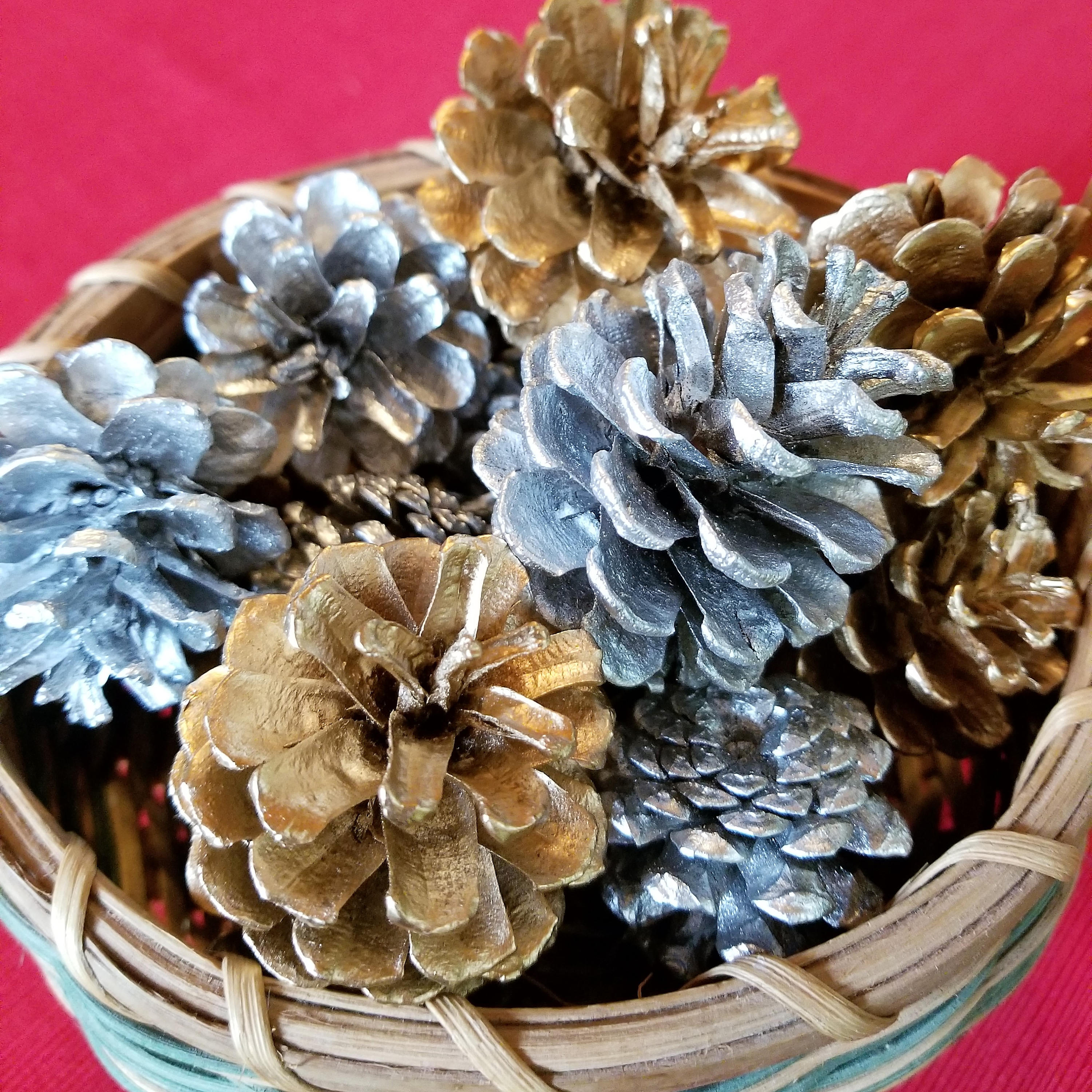 24 Silver and Gold Pine Cones Christmas Pine Cones Holiday Etsy