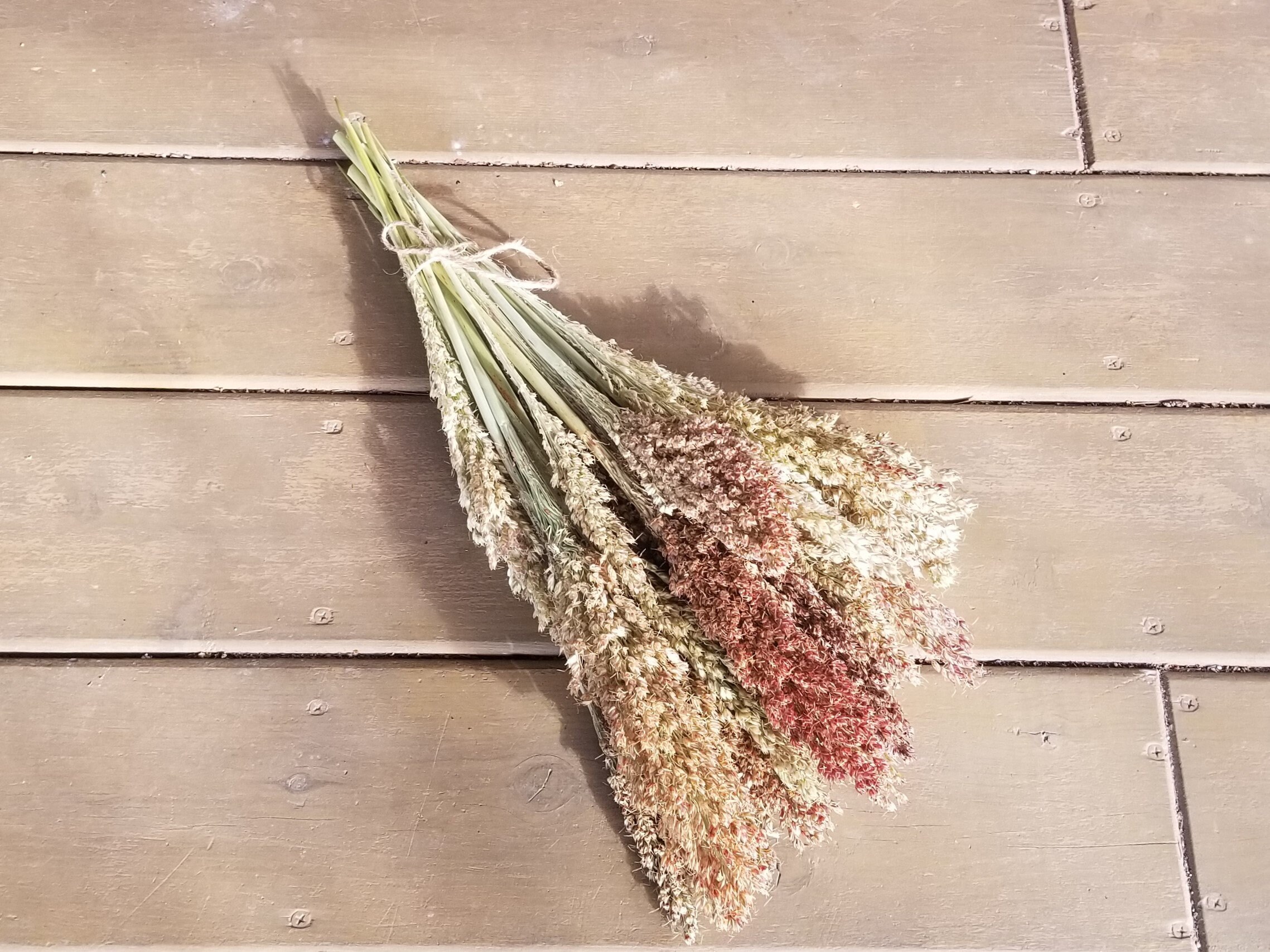 1218 Dried Broom Corn Colored Broom Corn Colored Etsy