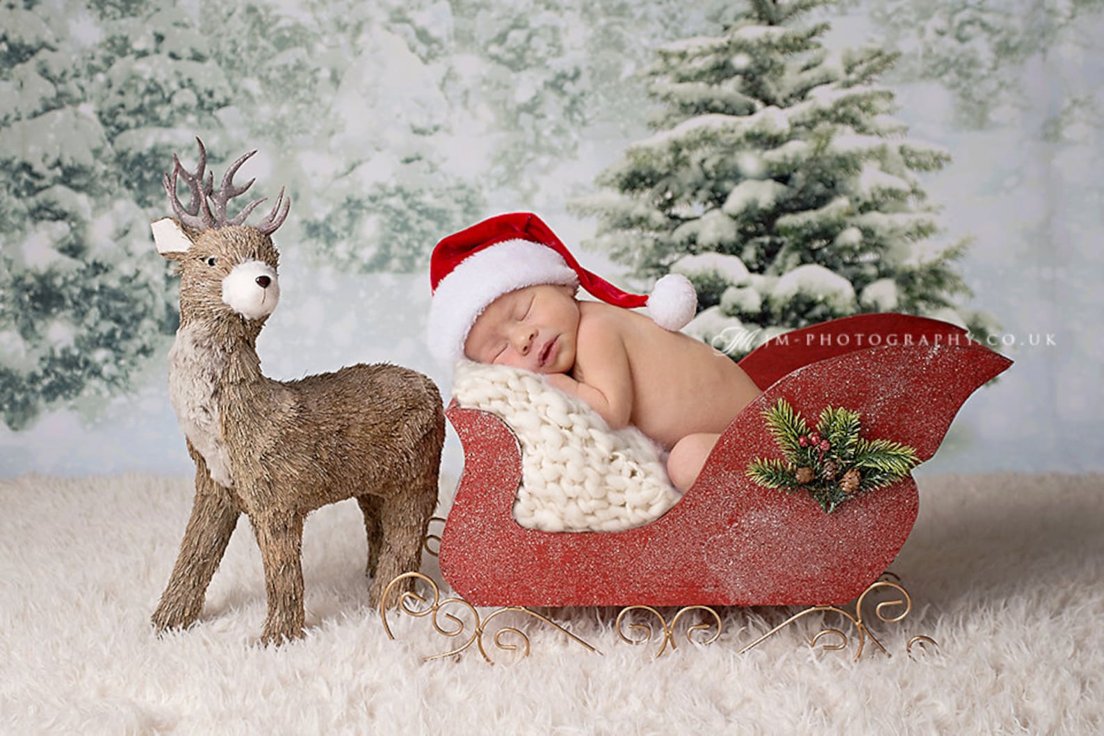 Newborn Christmas sleigh prop