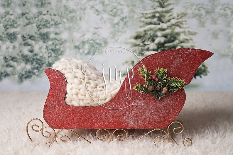 Christmas Sleigh Photo Prop 