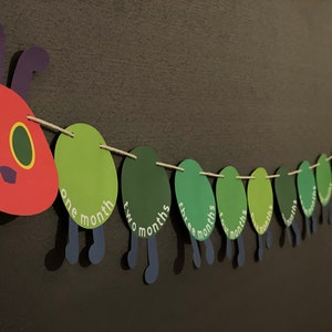 Very Hungry Caterpillar Photo Milestone Banner, 1st First Birthday Bunting Sign Party Baby Toddler Child Kids Theme Supplies Decorations