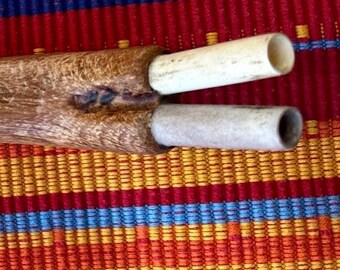 handmade double nostril tepi hape administration pipe made from wood from the jungle