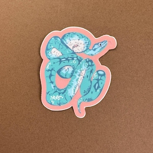 May include: A sticker featuring a teal and blue snake illustration with white accents, set against a light pink background. The snake is coiled, with detailed scales and patterns. The sticker has a white border and is on a brown surface.