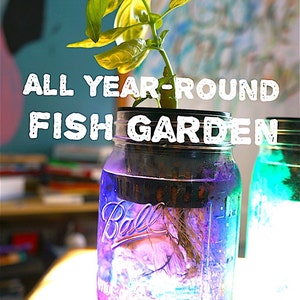 All Year-Round Mason Jar Fish Garden (Quart Size)