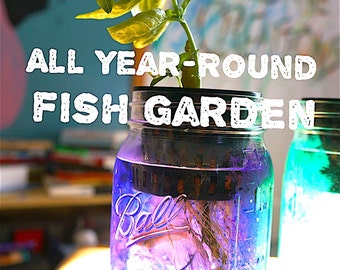 All Year-Round Mason Jar Fish Garden (Quart Size)