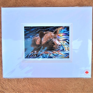 May include: A framed art print featuring a brown bear swimming in water with colorful reflections. The bear's head is visible above the water, with details of its fur and facial features. The print is matted and sealed in plastic.