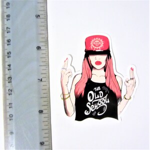 Pop Culture Comics Sports Politics Funny Skate Car laptop Bicycle Windows Tool Box Surf Phone Desk Sticker Decal Art