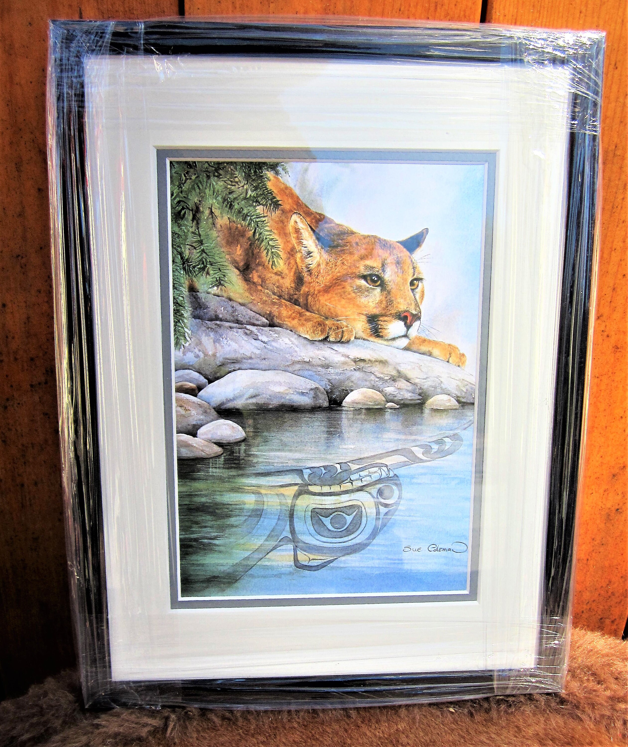 Pacific North West Coast Sue Coleman 'cougar Reflection