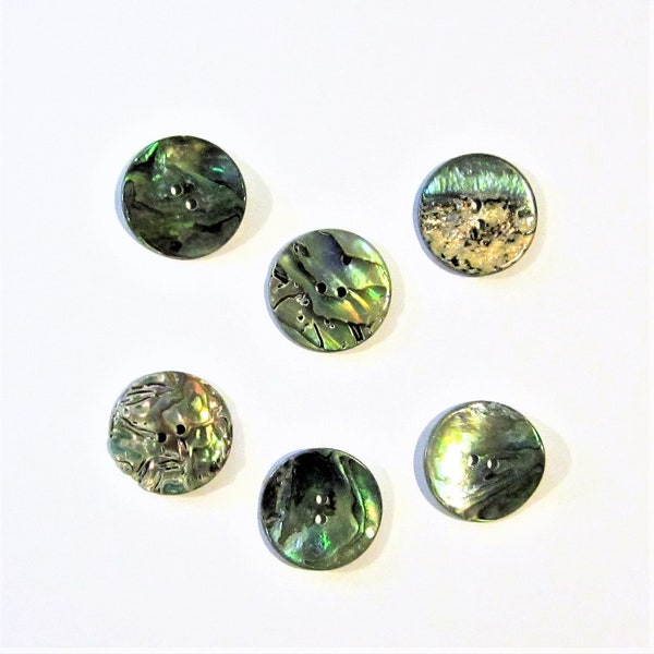 Abalone Buttons - Etsy