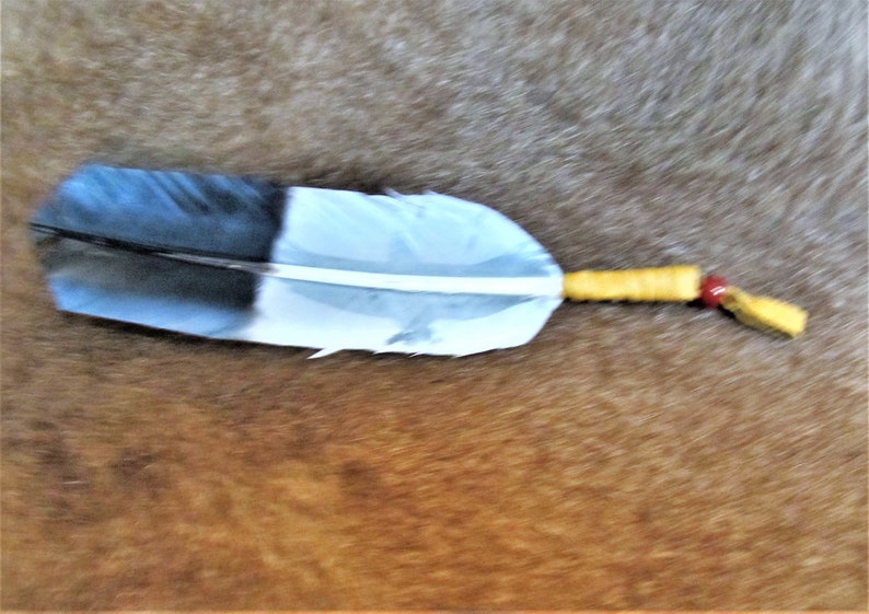 Navajo Apache Sioux Ojibway Hand Painted Feather Etsy