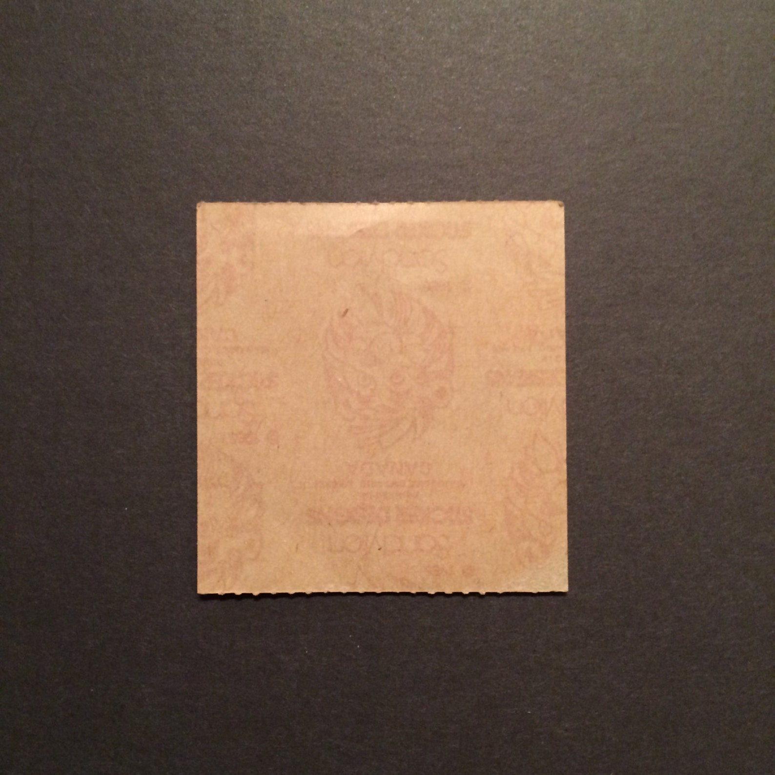 sandylion vintage 80s very rare fuzzy brown back ballet shoe stickers