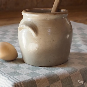 May include: A beige ceramic crock with two small side handles and a smooth, glossy finish. A wooden spoon handle protrudes from the top opening. A single light brown egg sits to the left of the crock. The text Sapience.nl appears in the corner.
