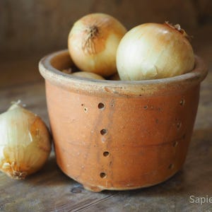 May include: A terracotta pot filled with several yellow onions, with one onion resting beside it. The onions have a light brown outer layer. The pot has a rustic, aged appearance, with several small holes along its side.