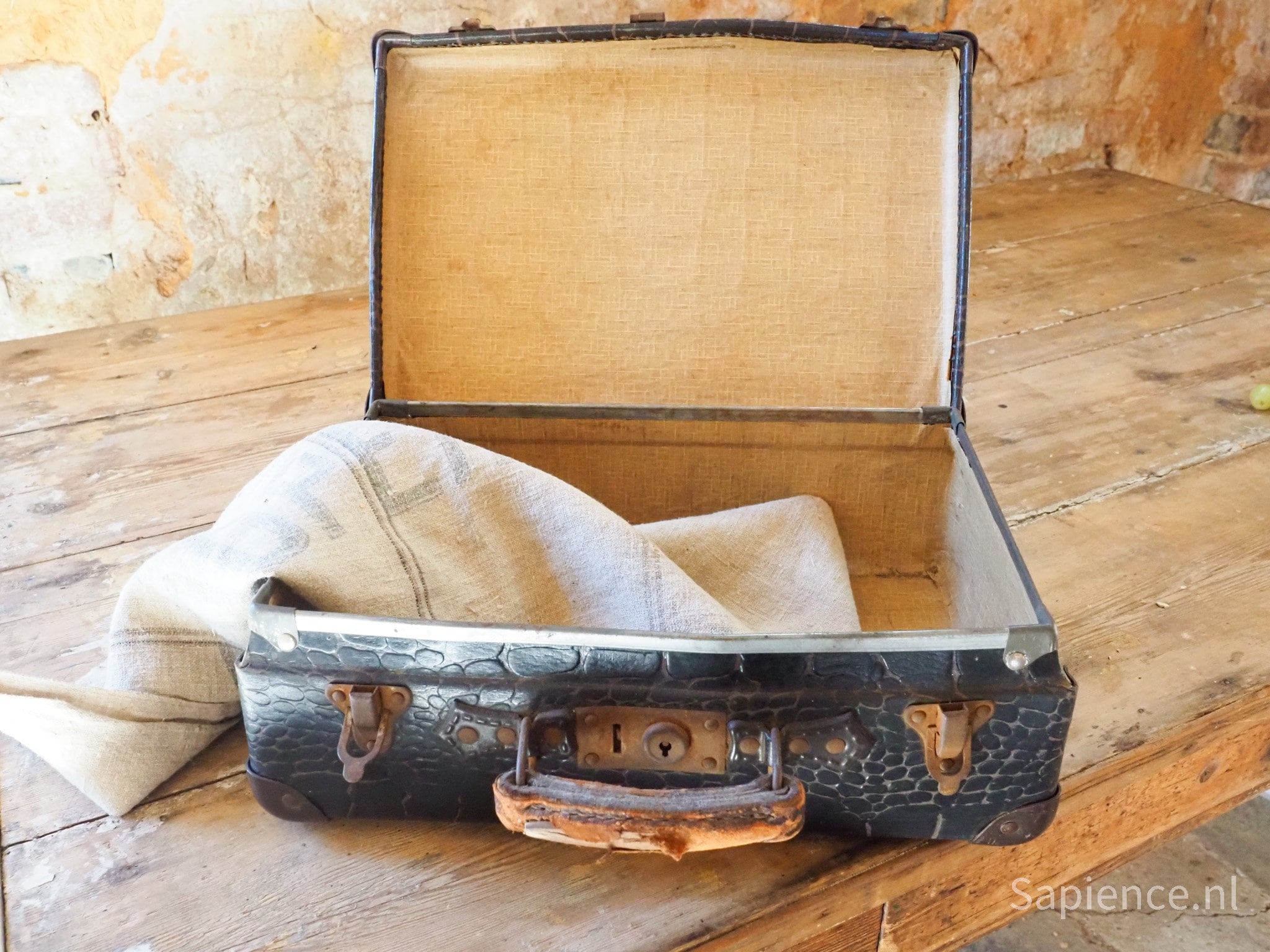 Green Alligator Skin Suitcase Small - Gil & Roy Props