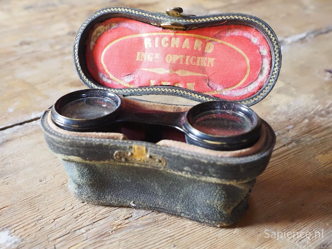 Decorative Antique French Binoculars in Original Leather Box, Opera Glasses, Theatre Glasses