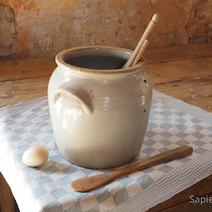 May include: A beige ceramic crock with two side handles, containing a wooden utensil. A single white egg sits to the left of the crock, and a wooden spoon lies on the checkered cloth in front of the vessel. The text Sapience.nl is visible.