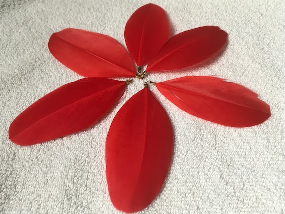 8pc medium  red feathers ,jewelry making,earrings, charm, tassel,Keychain ,Pendant necklace .