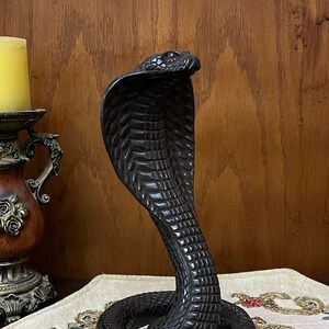 Vernice per il corpo della Baronessa Cobra