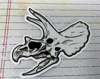 Triceratops Fossil Skull Vinyl Sticker