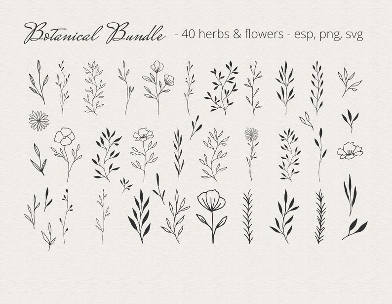 Download Botanical svg bundle. 100 Floral frames wreaths borders | Etsy
