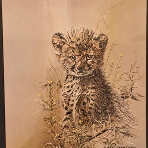 May include: A detailed illustration of a cheetah cub, featuring a tan and brown spotted coat, sitting amidst tall grass and small yellow flowers. The artwork has a soft, textured appearance, with the artist's signature in the bottom right corner.