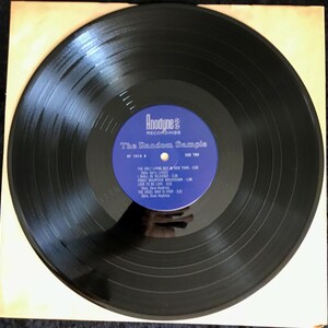 May include: A black vinyl record with a blue and white label. The label reads "Anodyne Recordings" and "The Random Sample." The track list includes "The Only Living Boy in New York" and "Foggy Mountain Breakdown." The record is in a tan paper sleeve.