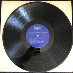May include: A black vinyl record with the title "The Random Sample" and a blue label. The record's tracklist includes songs like "You Don't Have to Be So Nice" and "Flowers Never Bend With The Rainfall."