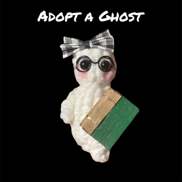 Adopt a Ghost, Spooky Friend, Small Crochet Ghost, Friendly Ghost, Every Ghost is a Surprise! Who will you get? Handmade Gift, Unique