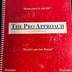 El enfoque profesional de Larry Mathews