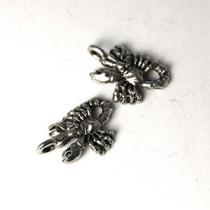 2pc, Scorpio Charm, Pewter