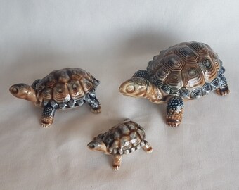 Turtle Wades Etsy
