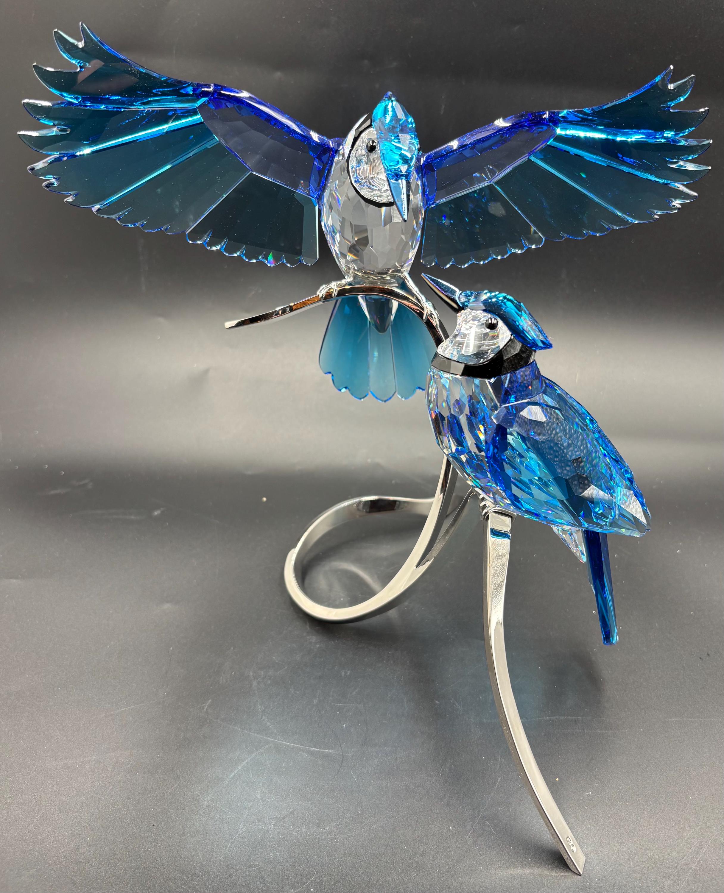 RETIRED 2013 Swarovski Blue Jays Crystal Paradise Birds 1176149
