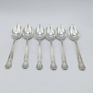 Set of 6 Whiting Sterling Silver Madame Jumel Pattern 1908 Citrus Spoons image 1