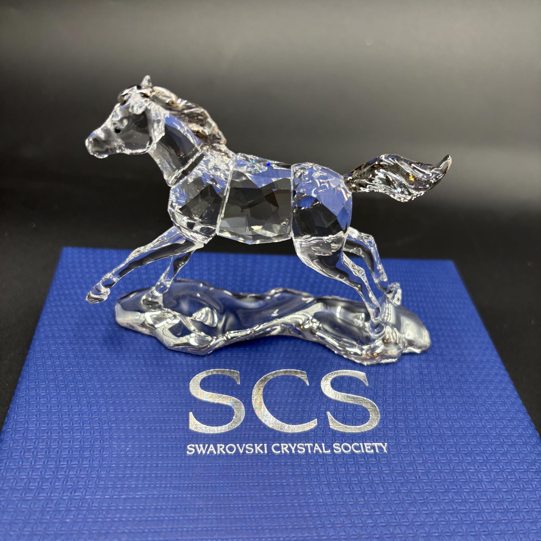 Swarovski Scs Annual Edition - Etsy