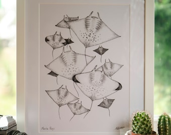 Manta Ray Print