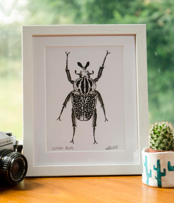 Goliath Beetle Print | Etsy