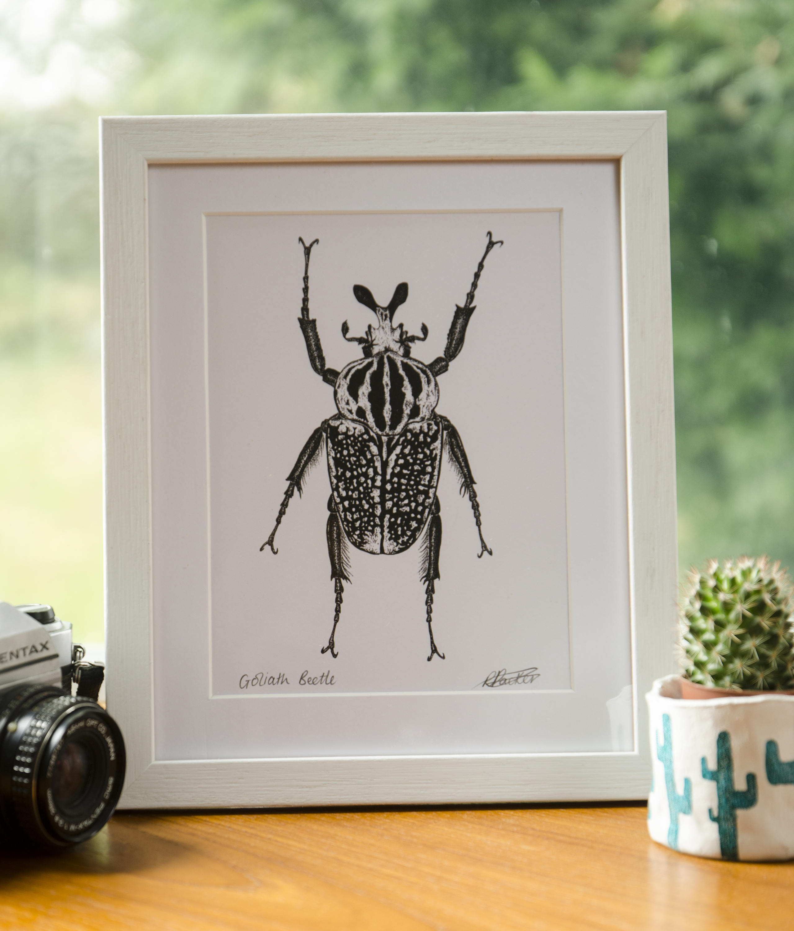 Goliath Beetle Print - Etsy