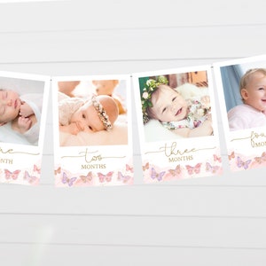 Bébé fille jalon cartes avec photo papillon anniversaire jalon première année bannière imprimable papillon 1er anniversaire rose BP2