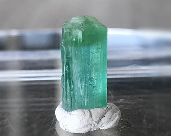 Bi Color Tourmaline Crystal Raw Gemstone, Natural Green Cap Tourmaline Crystal Specimen from Afghanistan